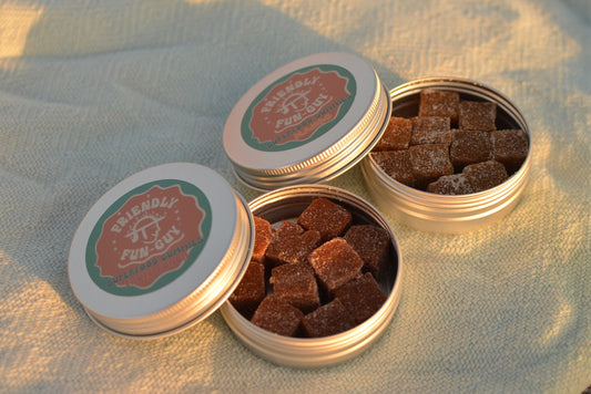 Superfood Mushroom Gummy Tins